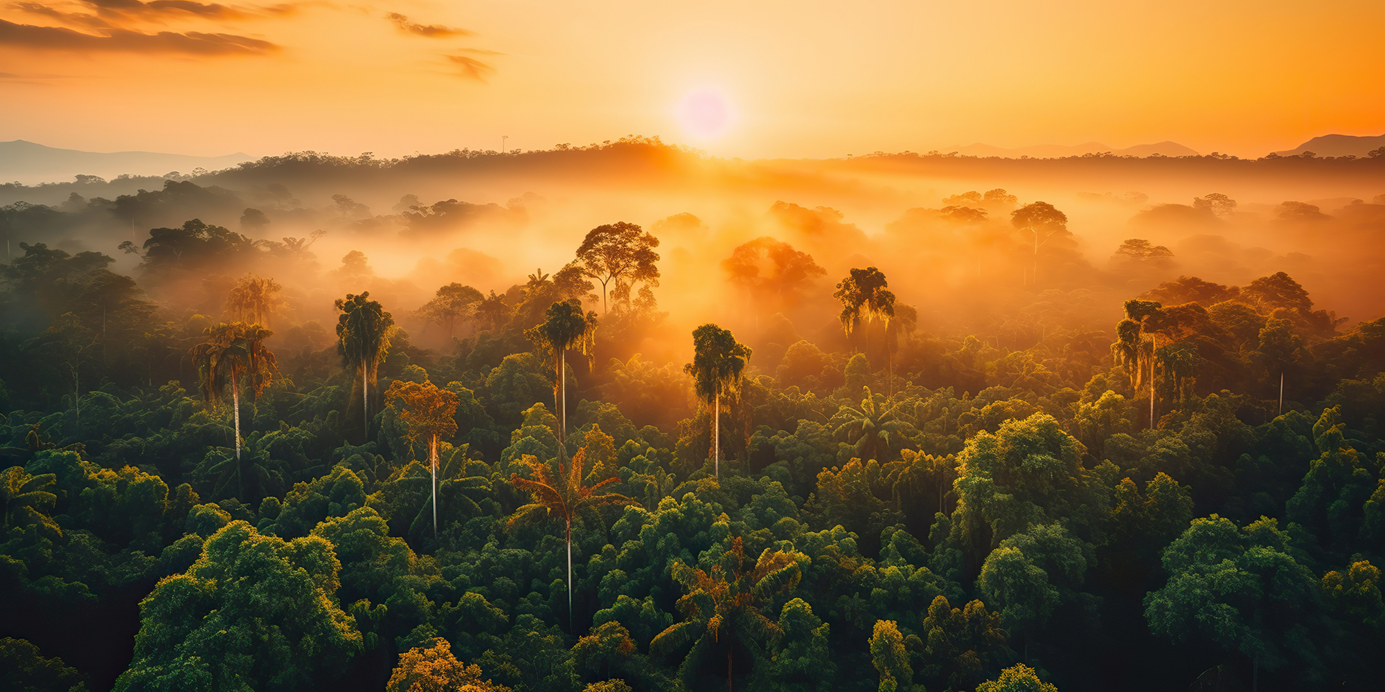 El Tesoro Verde De Am Rica La Selva Amaz Nica En Brasil Per Ecuador